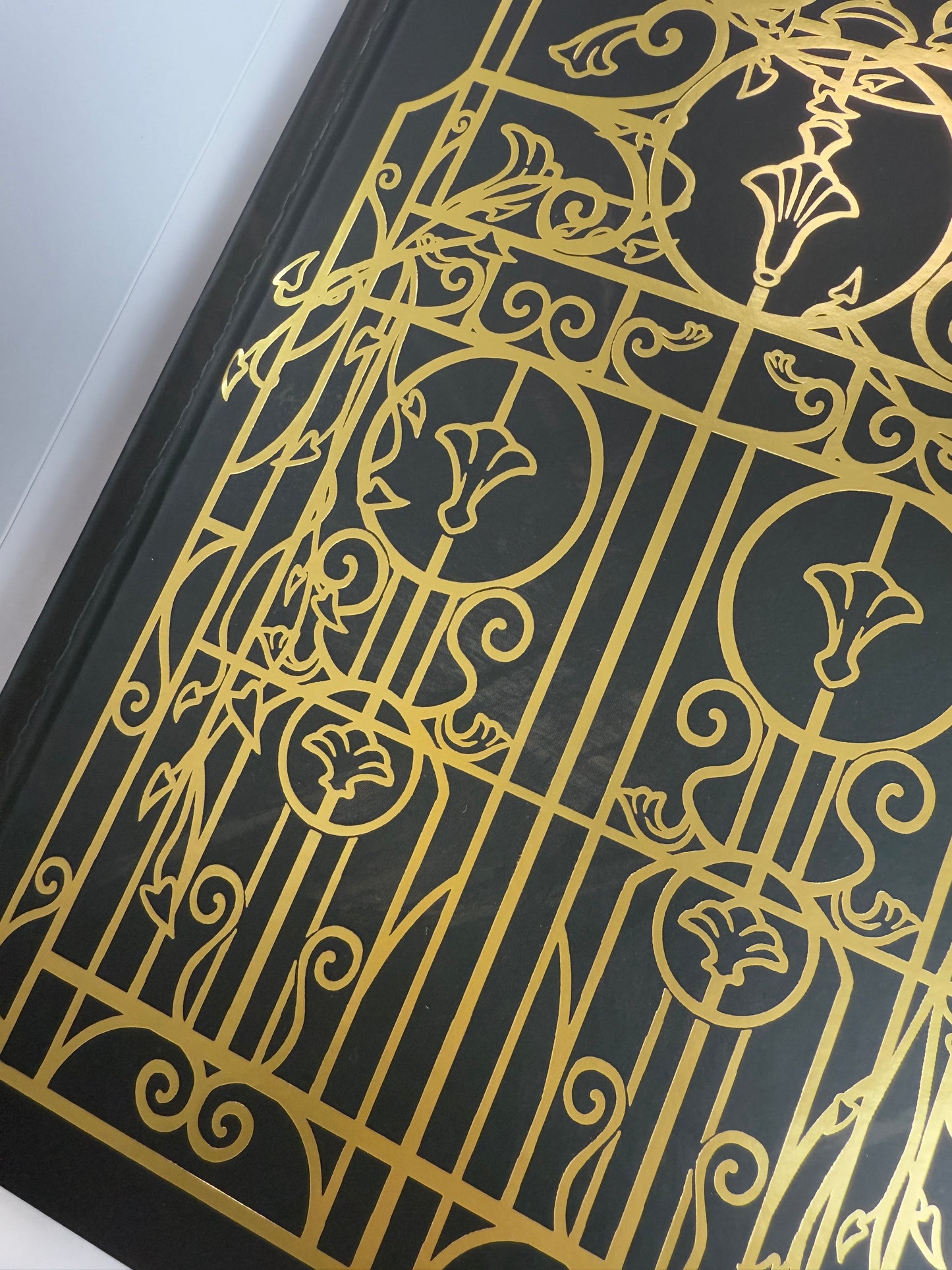 In the Claws of the Raven Prince (Special Edition)
