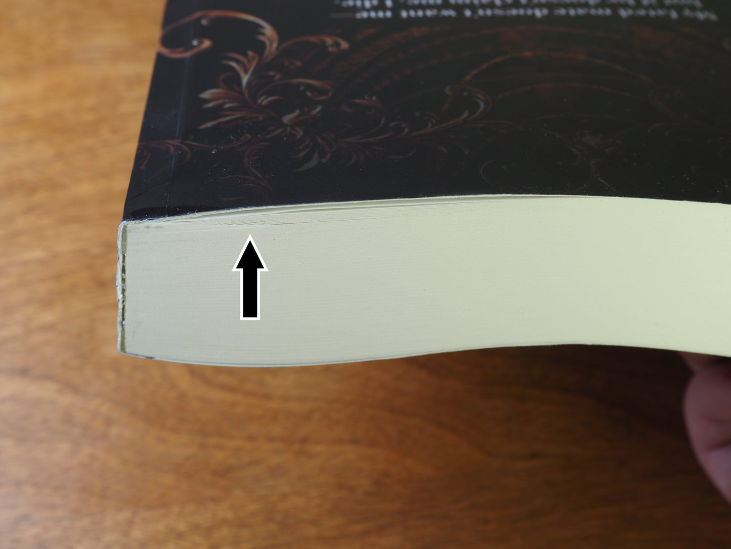 Caught in the Basilisk's Gaze (scratch & dent 2)