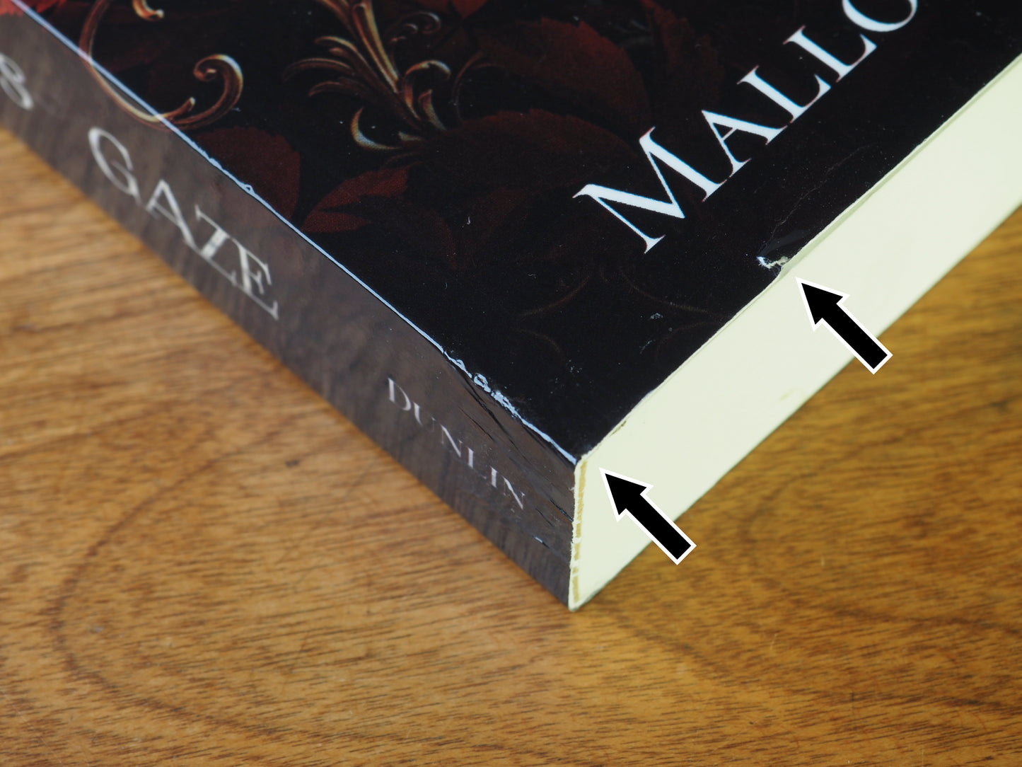 Caught in the Basilisk's Gaze (scratch & dent 5)