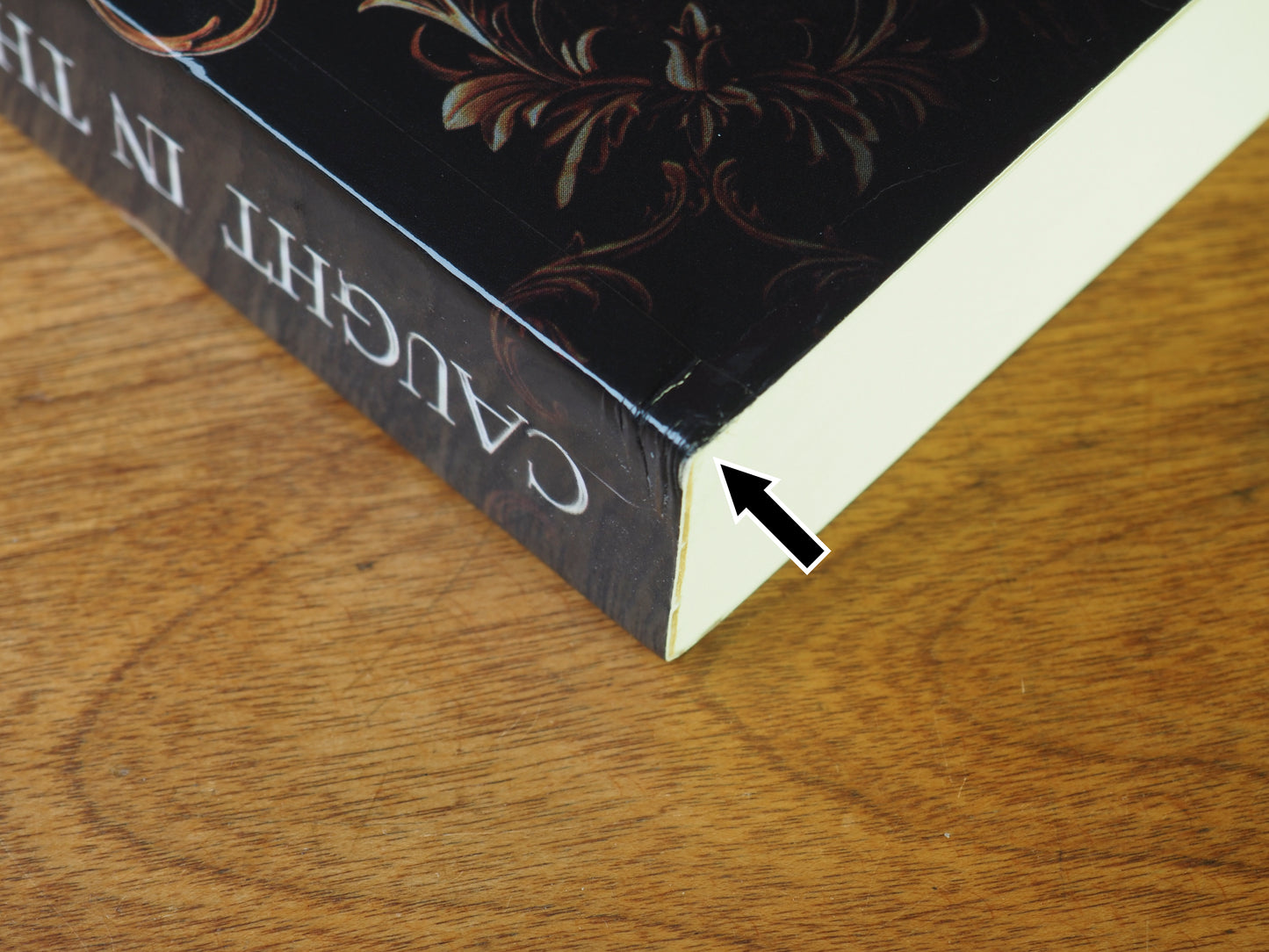 Caught in the Basilisk's Gaze (scratch & dent 6)