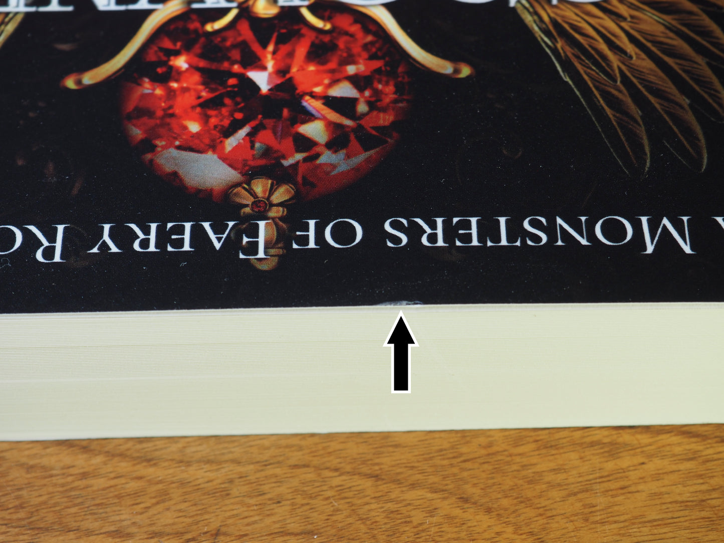 Crowned by the Fae King (scratch & dent 1)